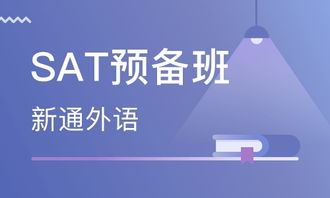 專業賦能，品質領航——溫州新通外語學校獲大眾網推薦品牌認證，攜手溫州網絡技術服務打造智慧教育新生態